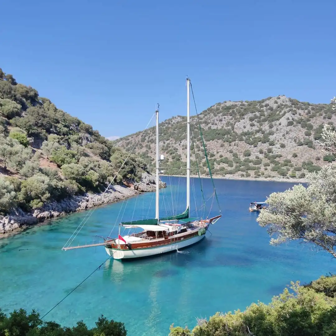 YT 1107