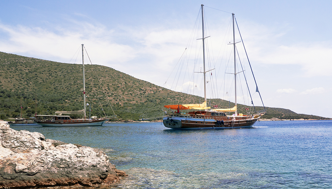 YT 1229 - Weekly Charter