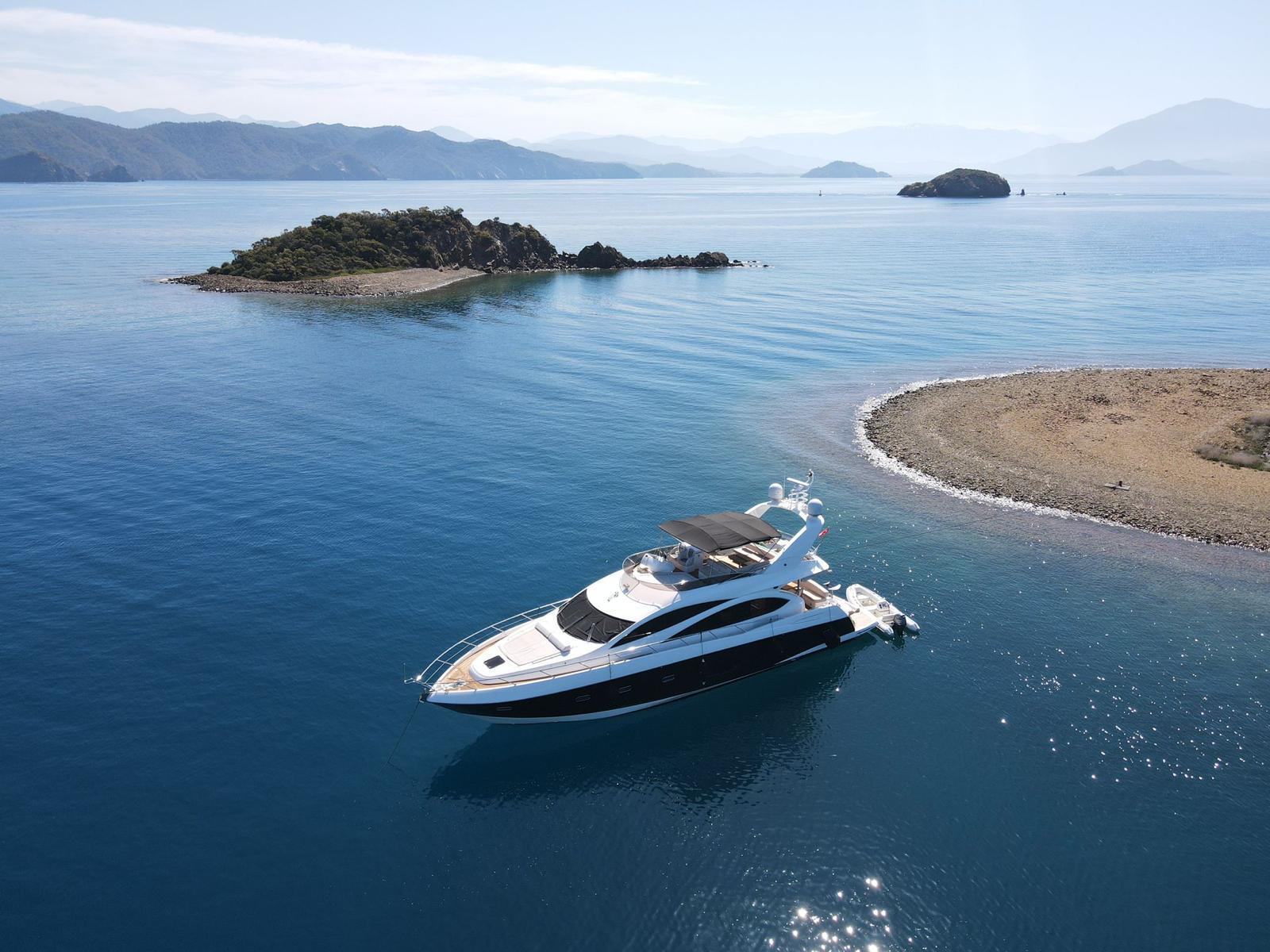 YT 1239