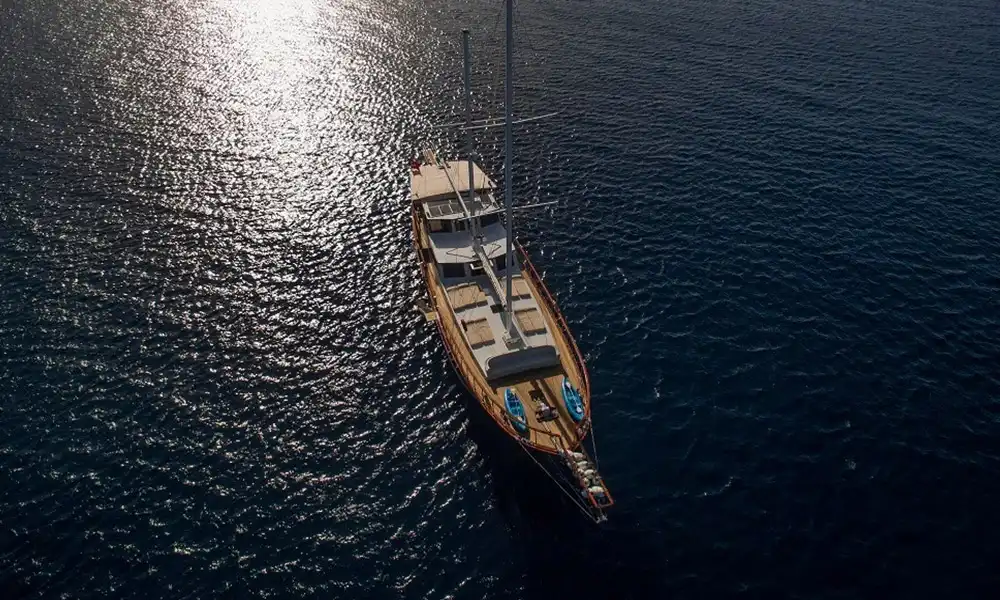 YT 1086