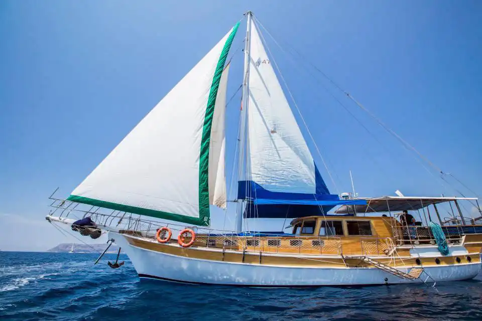 YT 1131 - Weekly Charter