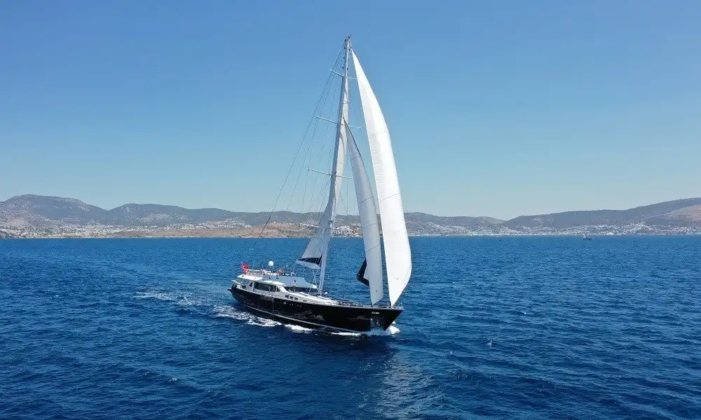 YT 1194